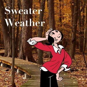 It's SWEATER SEASON! Look here for the latest styles!
